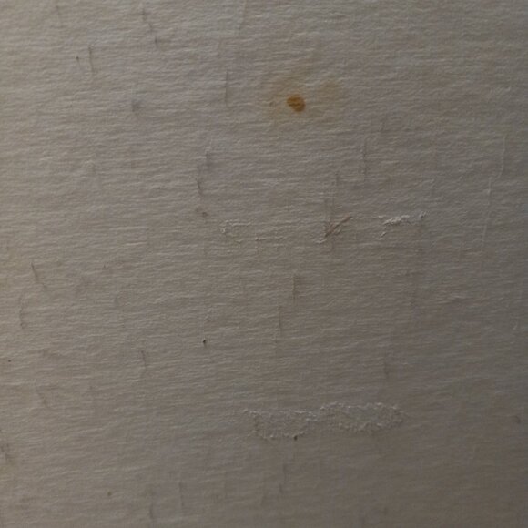 Ceaco Corkboard Back Puzzle Birthday Mayhem 500 Pieces Jane Wooster Scott SEALED - Picture 9 of 15